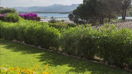 Luxury Villa Morisca in Sardinia for Rent | Villa with Pool and Seaview - Garden