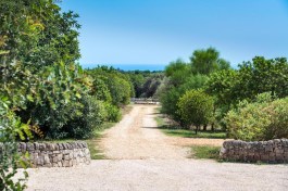Luxury Villa Dimora Pura in Sicily for Rent | Villa with Pool - Garden