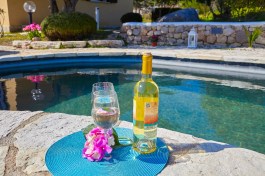 Villa Sirena in Sicily for Rent | Swimming pool and vine