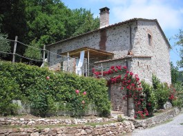 Villa Casa Fiora in Tuscany for Rent | Villa with Pool - Villa & Roses