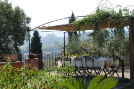 Villa Al Fanucchi in Tuscany for Rent | Villa with Swimming Pool - The Terrace