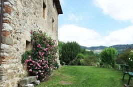 Villa Bottino in Tuscany for Rent | Villa with Private Pool - Garden
