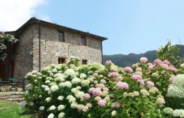 Villa Bottino in Tuscany for Rent | Villa with Private Pool - Flowers