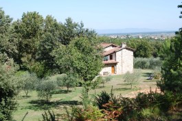 Villa Broccolo in Tuscany for Rent | Villa with Private Pool - View from Garden
