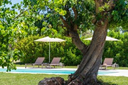Luxury Villa Gira Sole in Sicily for Rent | Villa with Pool near the Beach - Garden & Pool