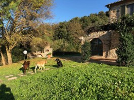 Luxury Villa Camperi in Tuscany for Rent | Villa with private garden and dogs