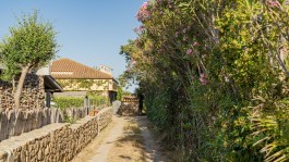 Luxury Villa Gea in Sardinia for Rent | Villa near the beach