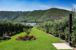 Luxury Villa Nettuno in Sicily for Rent | Villa near the Beach